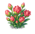 Fiery Red Crown — stage 2