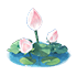 Pink Jade Lotus — stage 2