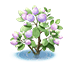 Pearly Blueblooms — stage 2