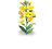Golden Spring Isle — stage 1