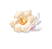 Harmonic Blossom — stage 1