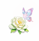 Blooming in Time — stage 1