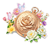 Blooming in Time — stage 2
