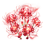 Blood Moon Lycoris — stage 3