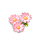 Honeypot Floral Tale — stage 1
