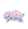 Starlight Radiance — stage 1