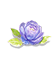 Star Lotus Time Ring — stage 1
