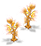 Flower 53119 — stage 1