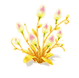 Flower 53119 — stage 2