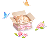Playful Cat's Floral Umbrella — stage 2
